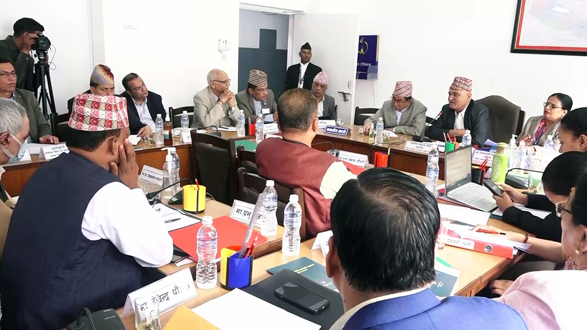 चिकित्सा शिक्षा आयोग र सिटिइभिटीको क्षेत्राधिकार विवादबारे अध्ययन गर्न कार्यदल बनाइने